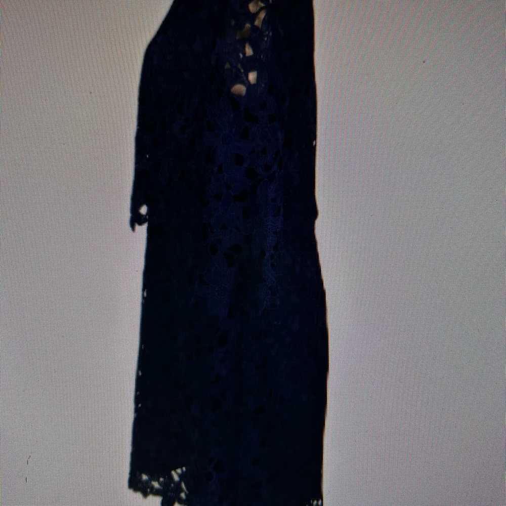 Cynthia Steffe Midnight Blue Lace Dress - Picture 2 of 6